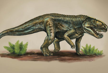 Vivaron
