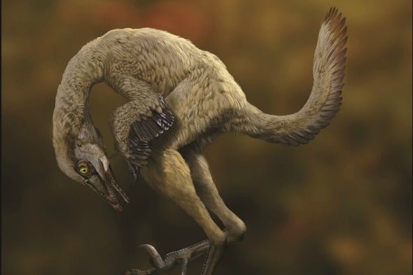 Paleo Profile: The Liaoning Hunter