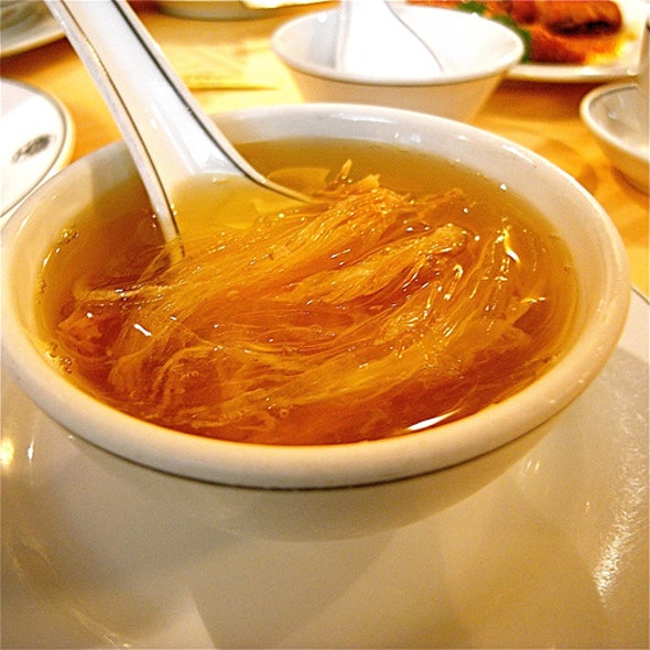 <i>Fin</i> (the End): Putting a Stop to the Consumption of Shark Fin Soup