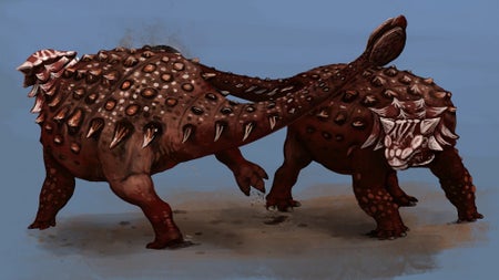Ankylosaurs