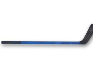 Earth Day and the Hockey Stick: A Singular Message