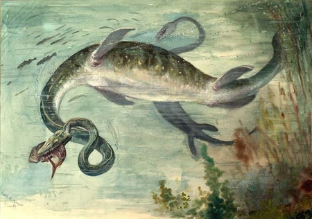 Elasmosaurus