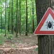 In the Battle Against Lyme Disease, the Ticks Are Winning