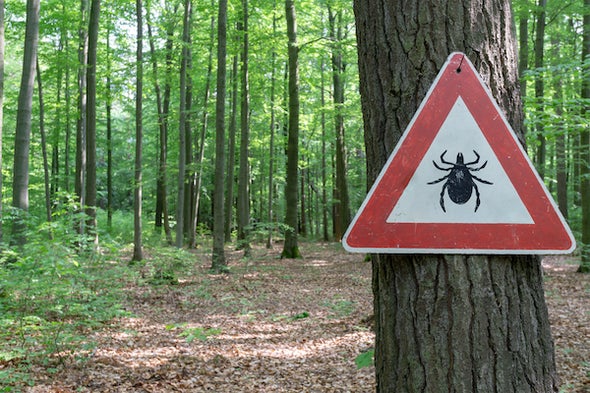 In the Battle against Lyme Disease, the Ticks Are Winning