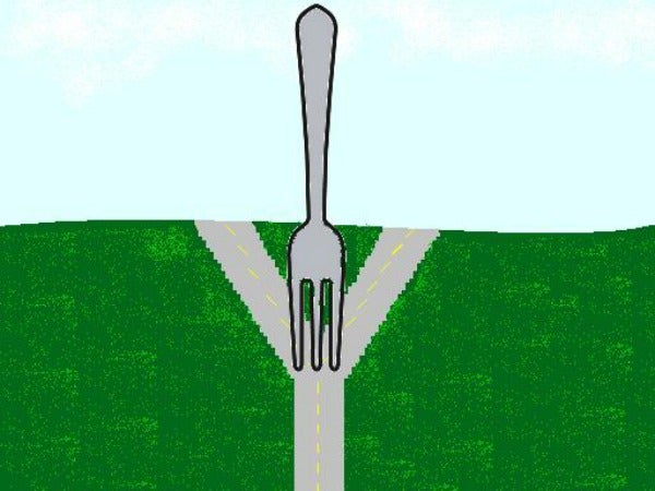 evolution of the fork