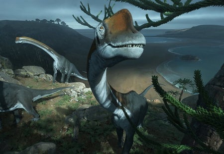 Sauropod