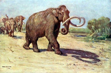 Mammoth