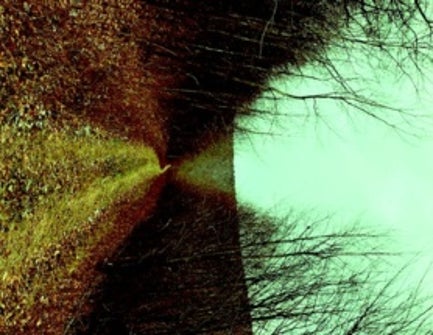 Do Quantum Machines Roam the Universe?