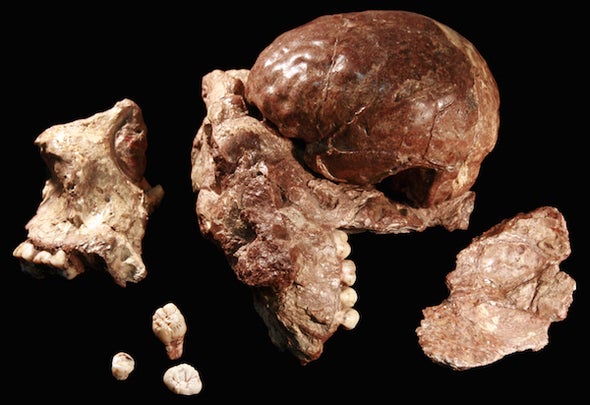 The Fossil That Rewrote Human Prehistory