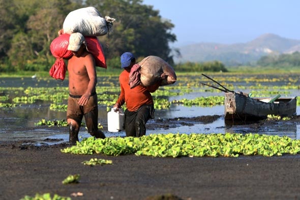 Fifth Straight Year of Central American Drought Helping Drive Migration