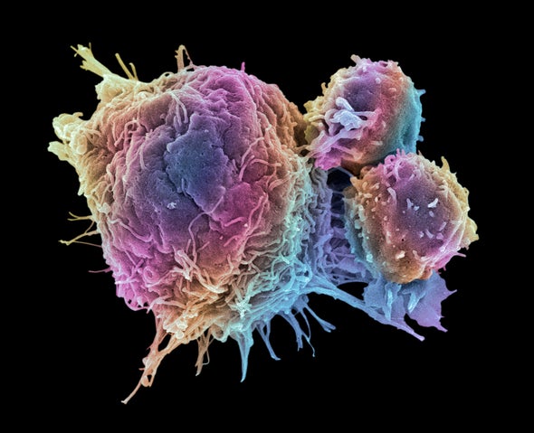 Cancer Therapy in 2020