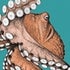 Octopus Chronicles