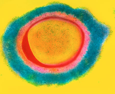 Scientific American Logo