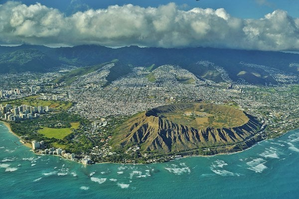 Hawaii's Snail Extinction Crisis: 