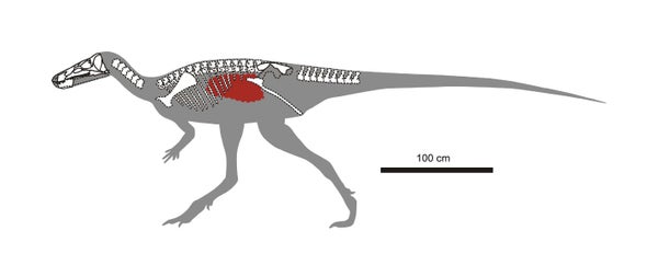 Paleo Profile: Isabel Berry's Dinosaur