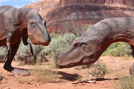 Tyrannosaurs