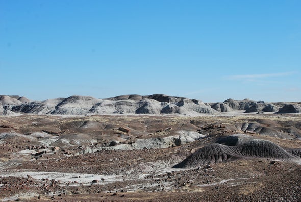 The Triassic's Mystery Creature
