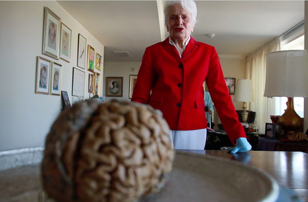 Scientific American Logo