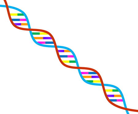 Scientific American Logo