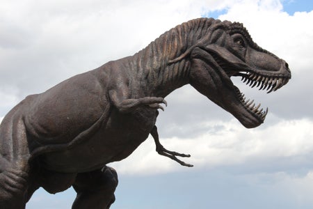 T. rex.