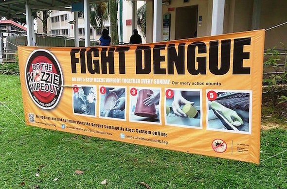 Biting Back: Developing a Dengue Vaccine
