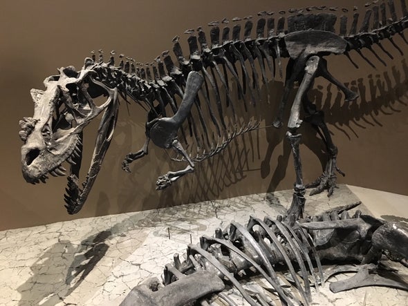 Paleontologists Investigate a Jurassic Bite
