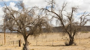 Creeping Toward Permanent Drought