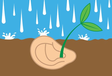 Illustration of a plant growing out of an ear buried in the ground, with rainfall on the surface.