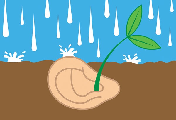 Illustration of a plant growing out of an ear buried in the ground, with rainfall on the surface.