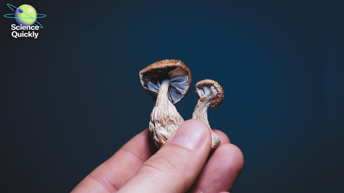 What happened when people with anorexia tried magic mushrooms