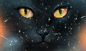 A starfield hangs in front of an illustration of a black cat with shining eyes illustrated by Masha Foya.