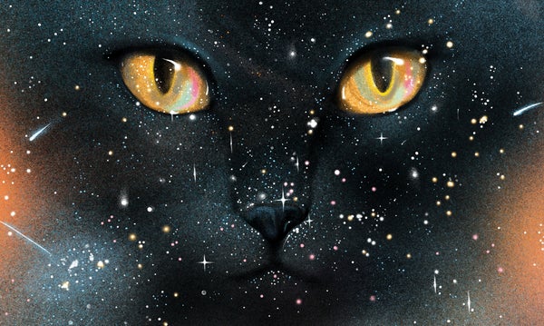 A starfield hangs in front of an illustration of a black cat with shining eyes illustrated by Masha Foya.