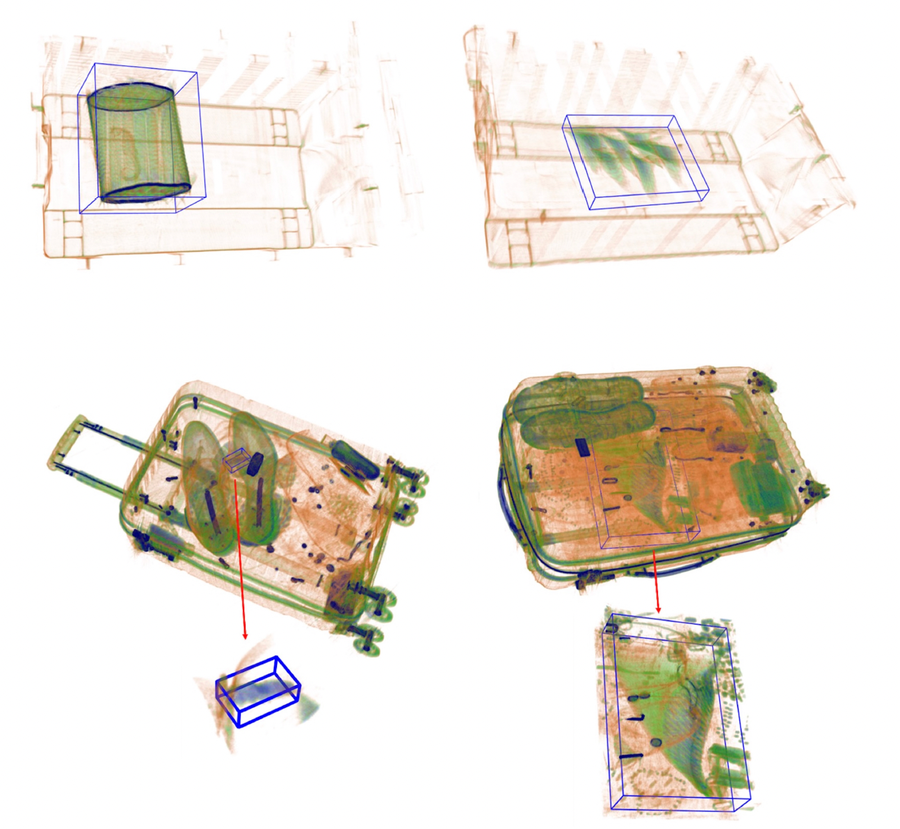Examples of detection scans of marine wildlife