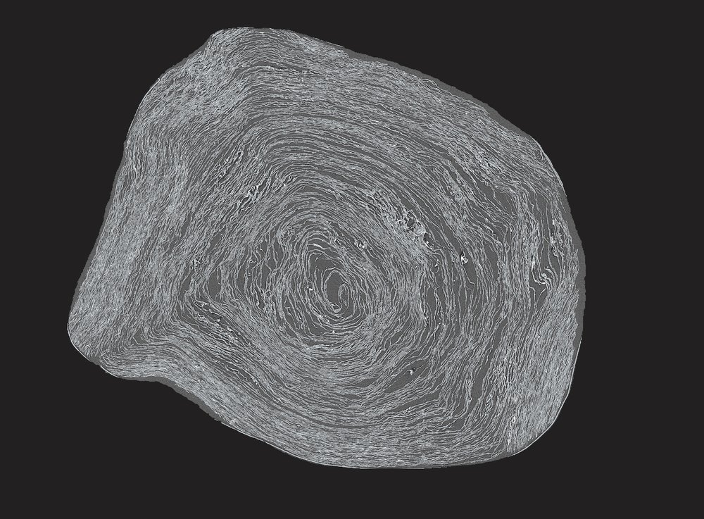 Imagen cortada de Pherc. 172 de micro-CT.