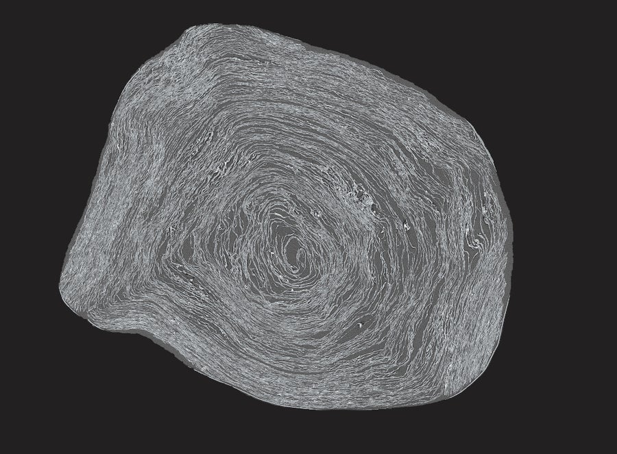 Slice image of Pherc. 172 from micro-CT.