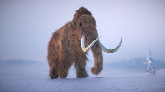 A woolly mammoth roams through a snowy environment, displaying its large size and distinct tusks. The icy surroundings highlight the ice age setting and the mammal's fur. This is a 3d render illustration