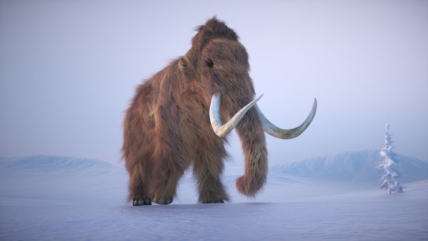 A woolly mammoth roams through a snowy environment, displaying its large size and distinct tusks. The icy surroundings highlight the ice age setting and the mammal's fur. This is a 3d render illustration