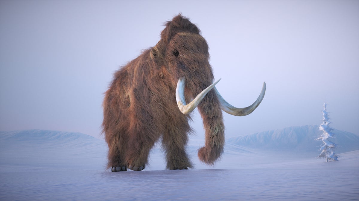 scientificamerican.com - Taylor Dotson - Why the controversy over de-extinction risks missing the point