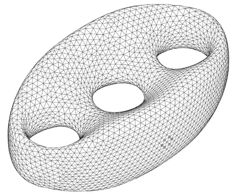 A shape with three holes has a surface covered in a mesh of triangles.