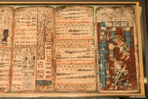 A large spread of tattered old pages, covered with Maya inscriptions and drawings.