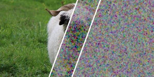 A sheep image encrypted using ordinary randomness (center) and certified perfect randomness from an experiment at the Swiss Federal Institute of Technology Zurich (right). Only perfect randomness turns the image entirely into noise.