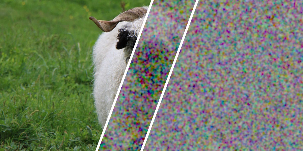 A sheep image encrypted using ordinary randomness (center) and certified perfect randomness from an experiment at the Swiss Federal Institute of Technology Zurich (right). Only perfect randomness turns the image entirely into noise.