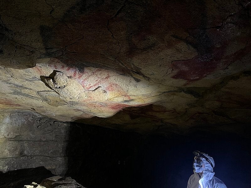 Polychrome ceiling of Altamira from which pigment samples were analyzed.