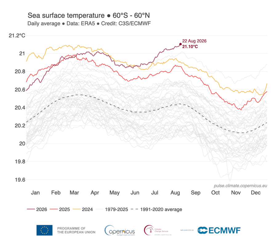 A line chart shows daily average sea-surface temperatures in past years, with 2026 having the hottest on record.