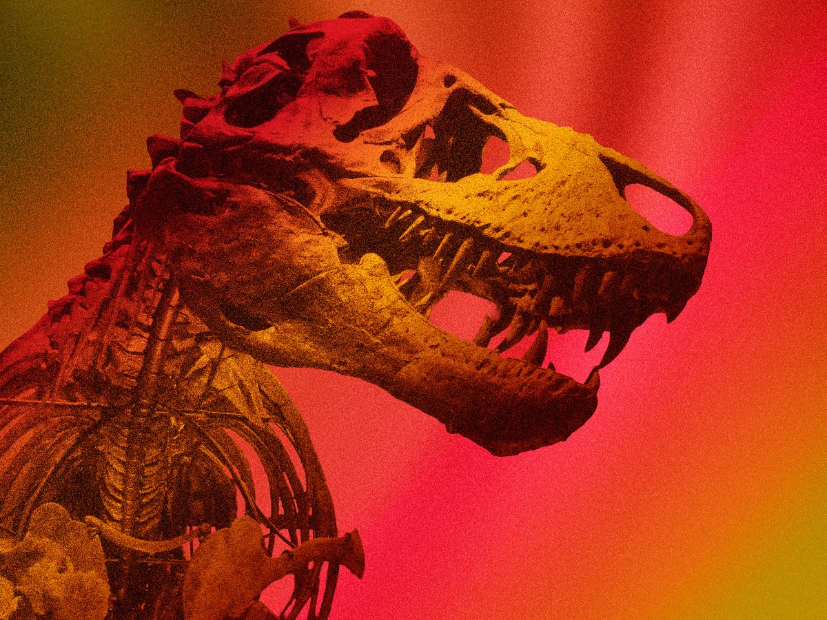 T. rex was as warm-blooded as humans, new study finds