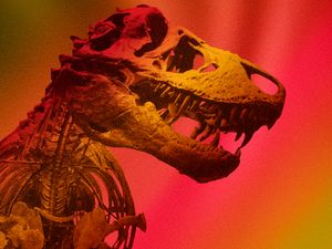 T. rex skeleton