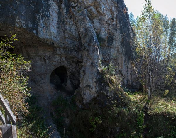 A cave in a cliff side covered with greenery