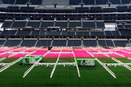 Rows of pink grow lights hang over a natural-grass soccer field inside a large indoor stadium.