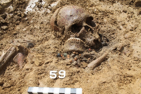 A human skull half buried in the ground.