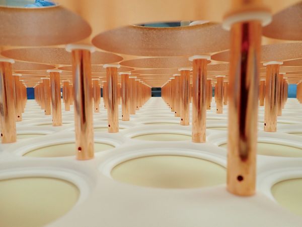 Rows of copper tubes rise from a white panel punctuated with an array of circular indentations inside the XENONnT dark matter detector. Provided by XENON Collaboration.